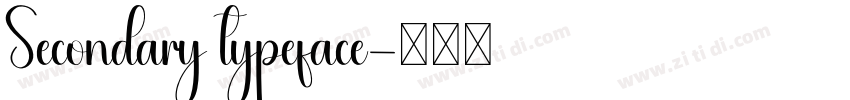 Secondary typeface字体转换 Secondary typeface字体转换